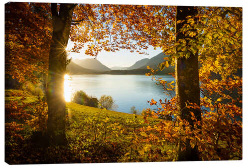 Canvas print Autumn at the Sylvensteinsee