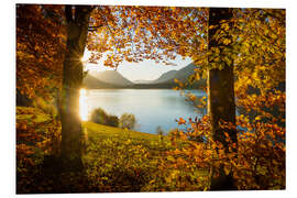 Foam board print Autumn at the Sylvensteinsee