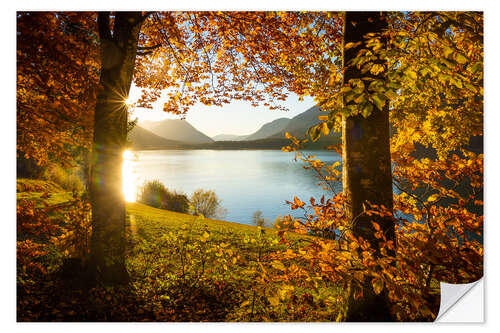 Wandsticker Herbst am Sylvensteinsee