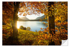 Selvklæbende plakat Autumn at the Sylvensteinsee