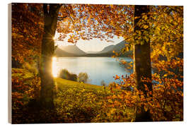 Hout print Autumn at the Sylvensteinsee