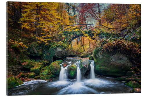 Cuadro de metacrilato Autumn in the Mullerthal - Schiessentümpel