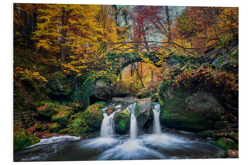 Stampa su PVC Autumn in the Mullerthal - Schiessentümpel