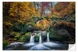 Sticker mural Autumn in the Mullerthal - Schiessentümpel