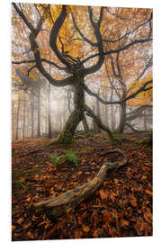 Quadro em PVC Autumn forest