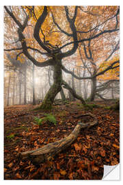 Selvklebende plakat Autumn forest