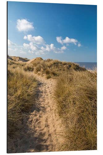 Aluminium print Red cliff dune path near Kampen on Sylt