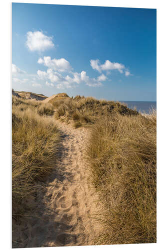 Foam board print Red cliff dune path near Kampen on Sylt