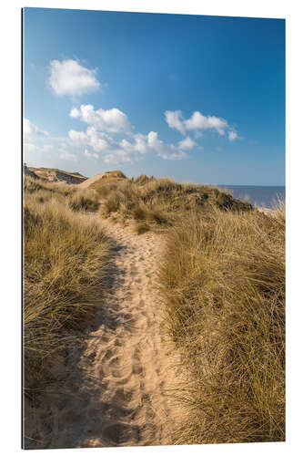 Gallery print Red cliff dune path near Kampen on Sylt