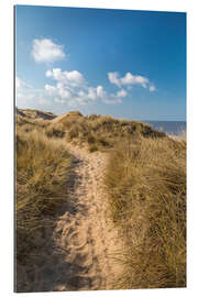 Galleritryck Red cliff dune path near Kampen on Sylt