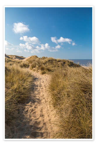 Poster Red cliff dune path near Kampen on Sylt