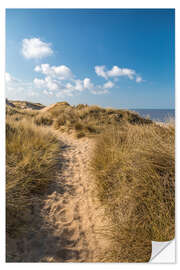 Sticker mural Red cliff dune path near Kampen on Sylt