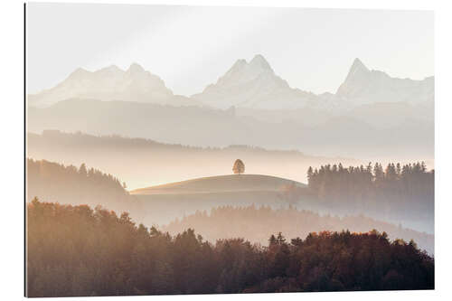 Quadro em plexi-alumínio Eiger, Mönch and Jungfrau on a foggy autumn morning