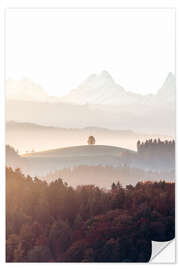 Naklejka na ścianę Tree in front of Schreckhorn in the Emmental