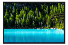 Gerahmter Kunstdruck Farbenpracht der Natur