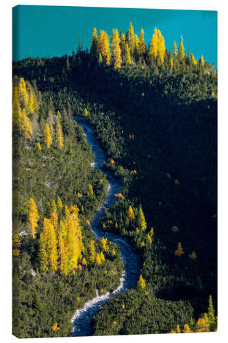 Canvas print Golden larches in the Engadine in autumn