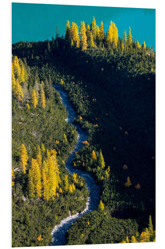 Hartschaumbild Goldene Lärchen im Engadin im Herbst