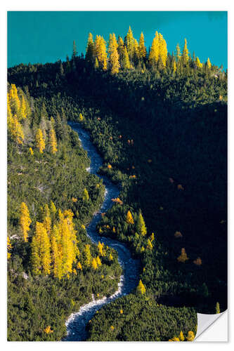 Muursticker Golden larches in the Engadine in autumn