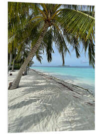 Foam board print Palm Trees