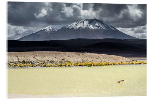 Tableau en verre acrylique Flamingo in the Bolivian Altiplano