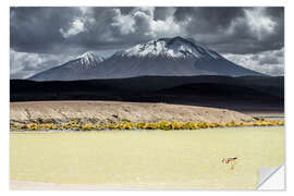 Sisustustarra Flamingo in the Bolivian Altiplano