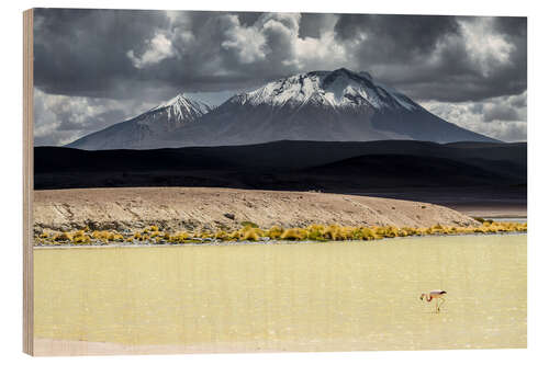 Quadro de madeira Flamingo in the Bolivian Altiplano