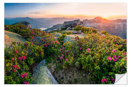 Selvklebende plakat Alpine roses at sunset in the Swiss Alps