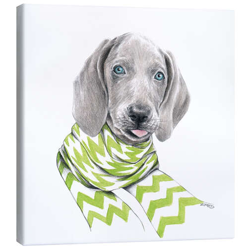 Lærredsbillede Weimaraner puppy with scarf