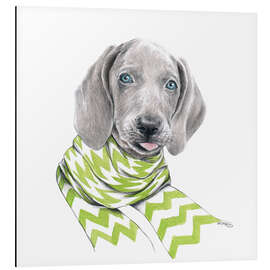 Magnettafel Weimaraner Welpe mit Schal