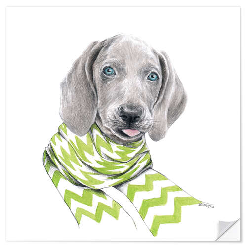 Wandsticker Weimaraner Welpe mit Schal