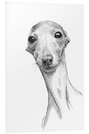 Tableau en PVC Italian greyhound