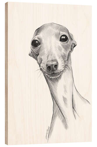 Puutaulu Italian greyhound