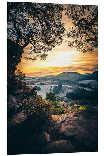 Foam board print Palatinate Forest, view of the sunrise