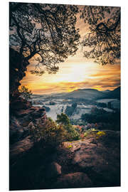 Foam board print Palatinate Forest, view of the sunrise