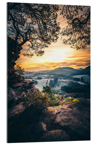 Tableau en plexi-alu Palatinate Forest, view of the sunrise