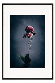 Gerahmter Kunstdruck Frauenschuh