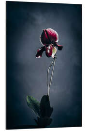 Magnettafel Frauenschuh