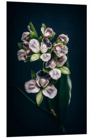 Foam board print Cattleya