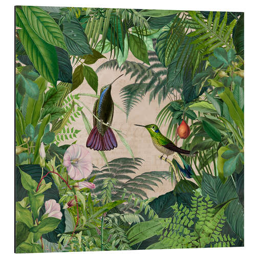 Alumiinitaulu Tropical Hummingbird Jungle