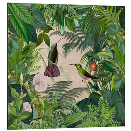 Aluminium print Tropical Hummingbird Jungle