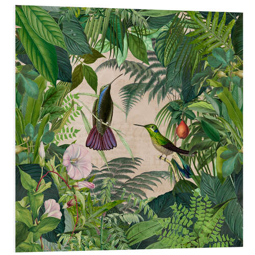 Cuadro de PVC Tropical Hummingbird Jungle