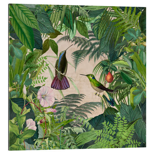 Gallery print Tropical Hummingbird Jungle