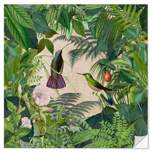 Selvklebende plakat Tropical Hummingbird Jungle