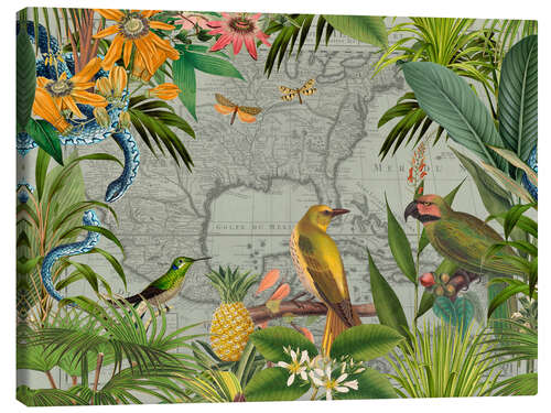 Canvas print Tropical Mexico Jungle Birds