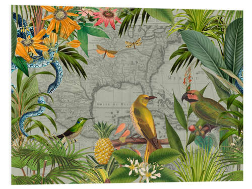 Tableau en PVC Tropical Mexico Jungle Birds