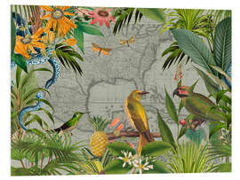 Foam board print Tropical Mexico Jungle Birds