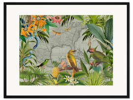 Gerahmter Kunstdruck Tropische Dschungelvögel in Mexiko