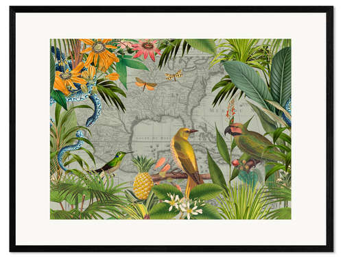 Plakat artystyczny premium w ramie Tropical Mexico Jungle Birds