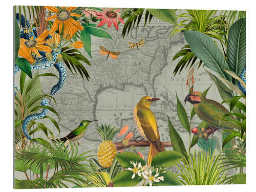 Gallery print Tropical Mexico Jungle Birds