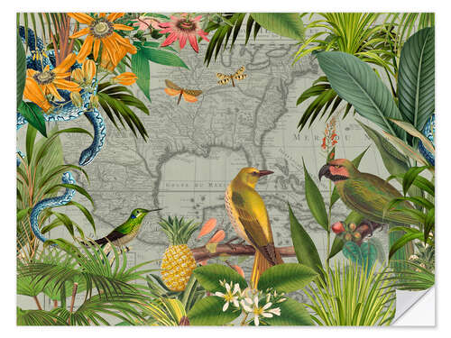 Sticker mural Tropical Mexico Jungle Birds